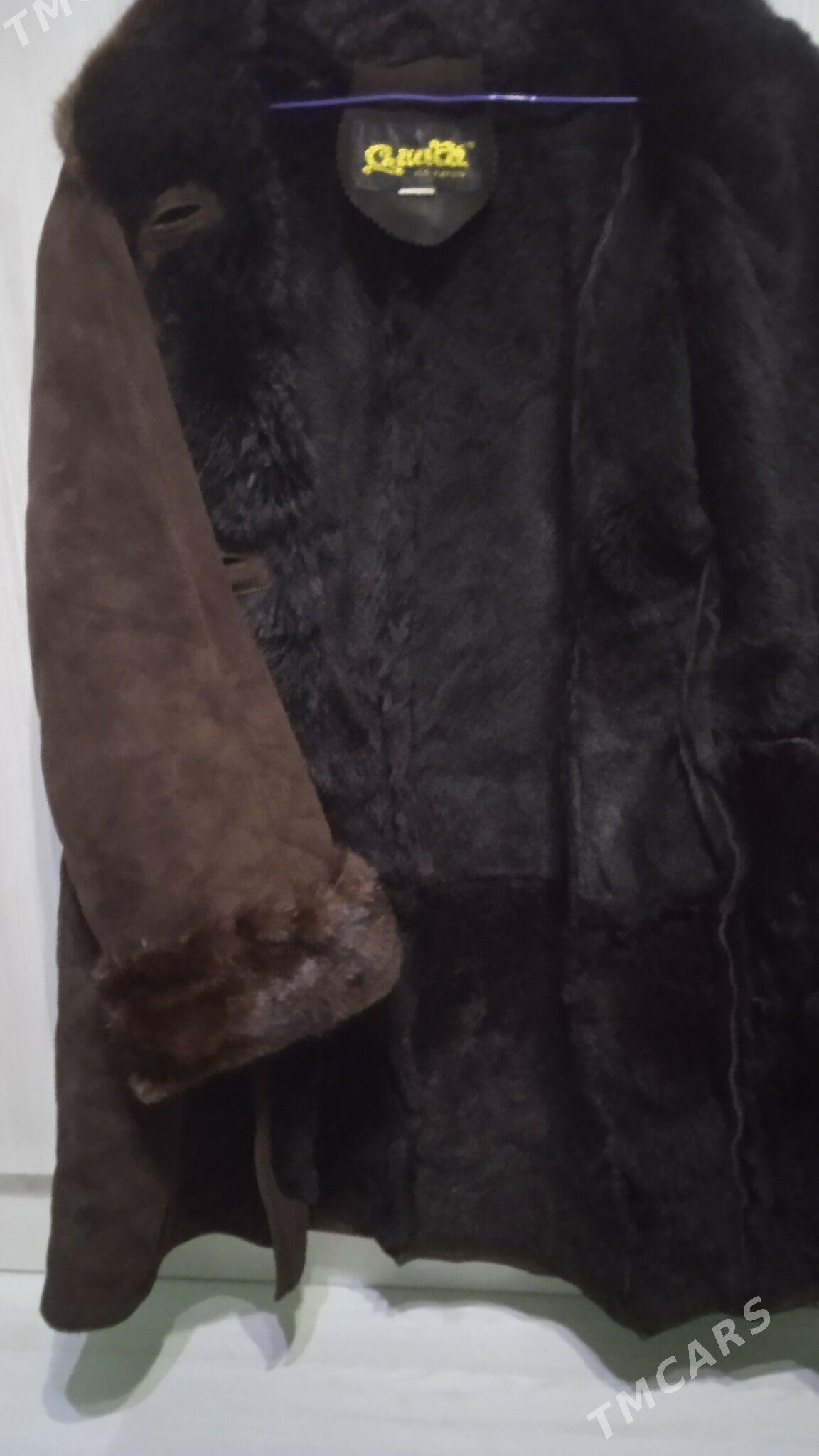 dublýonka - Türkmenabat - img 4