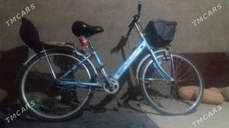 wesepit - Mary - img 1