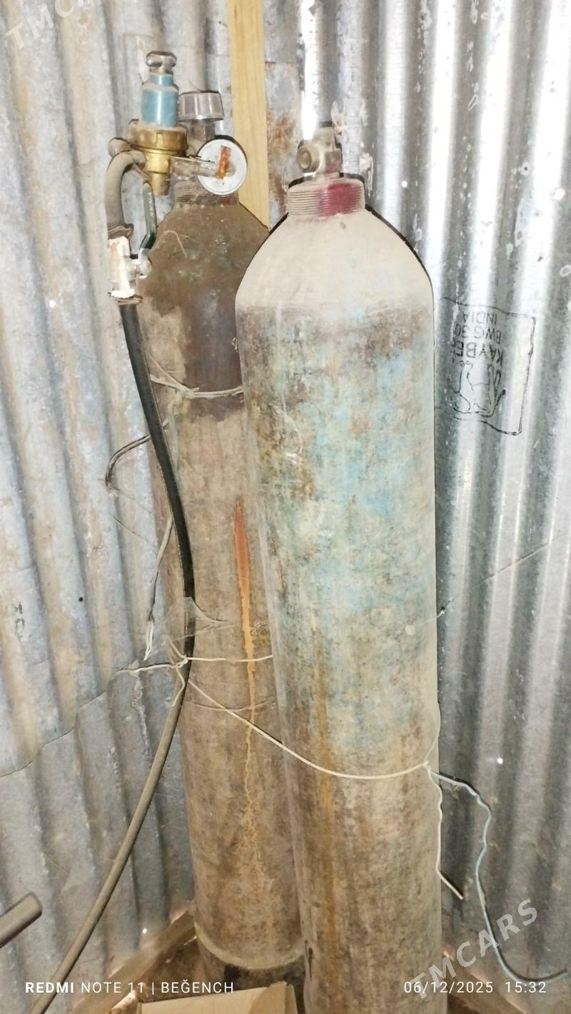 Guyma butga - Ёлётен - img 3