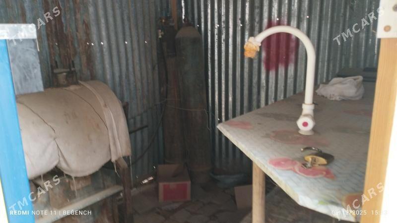 Guyma butga - Ёлётен - img 2