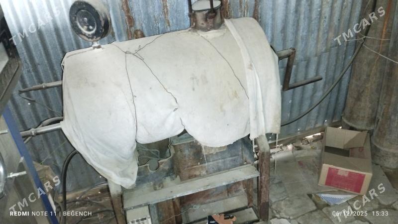 Guyma butga - Ёлётен - img 4