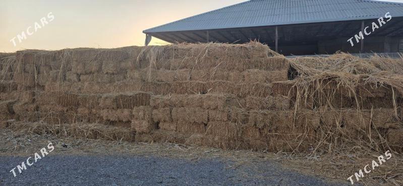 Saman Arassa - Гёкдепе - img 1