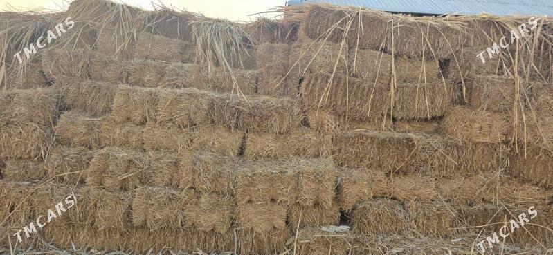 Saman Arassa - Гёкдепе - img 2