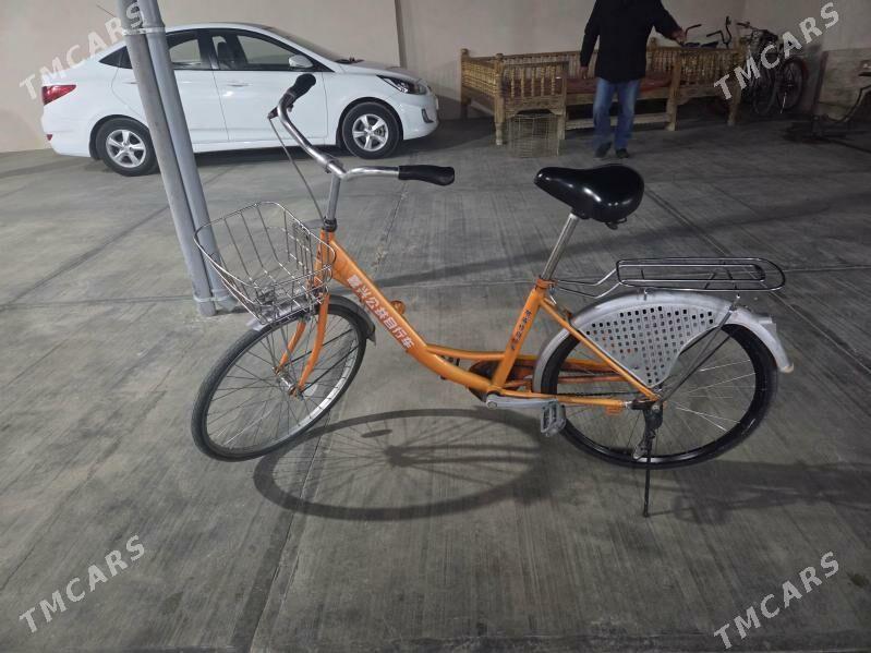 tigr - Кëши - img 1