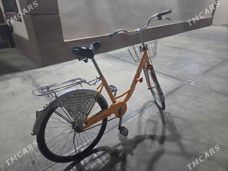 tigr - Кëши - img 3