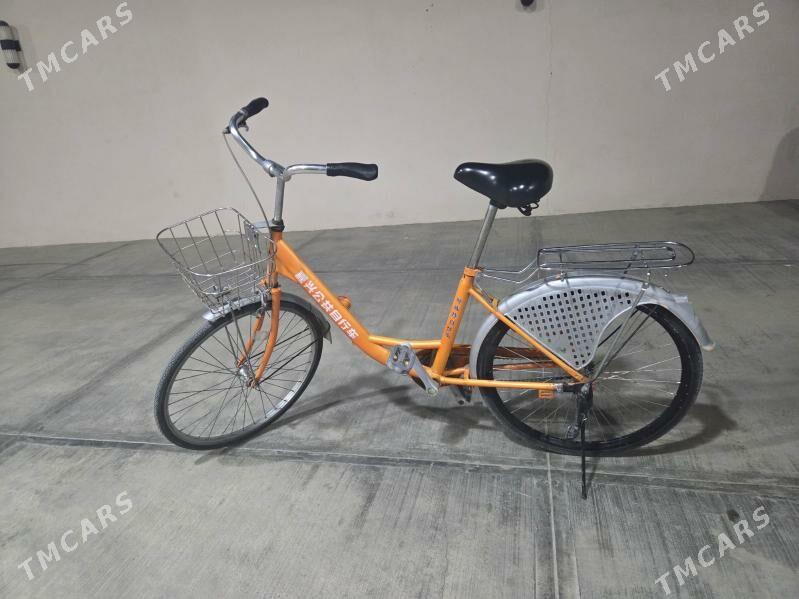 tigr - Кëши - img 2