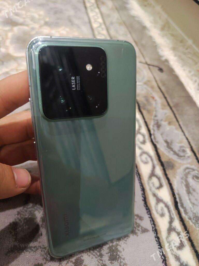 Mi 14 - Mary - img 2