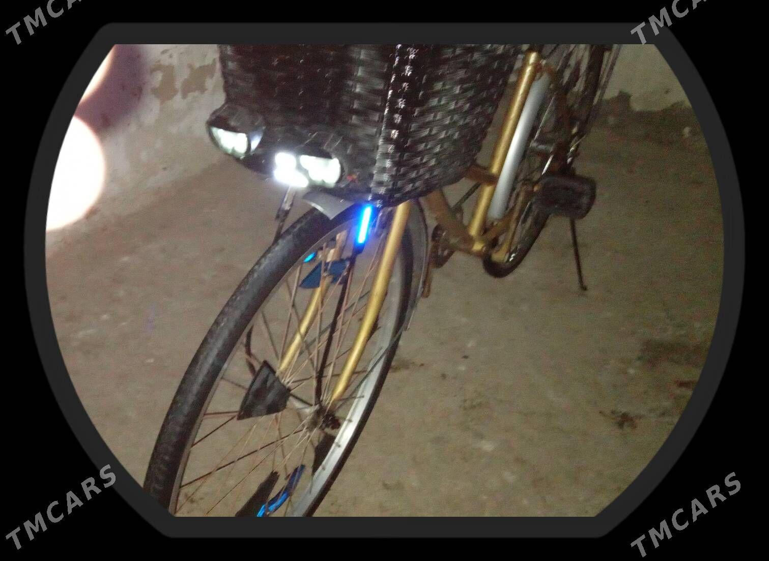 tigir - Теджен - img 7