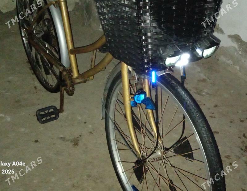 tigir - Теджен - img 4