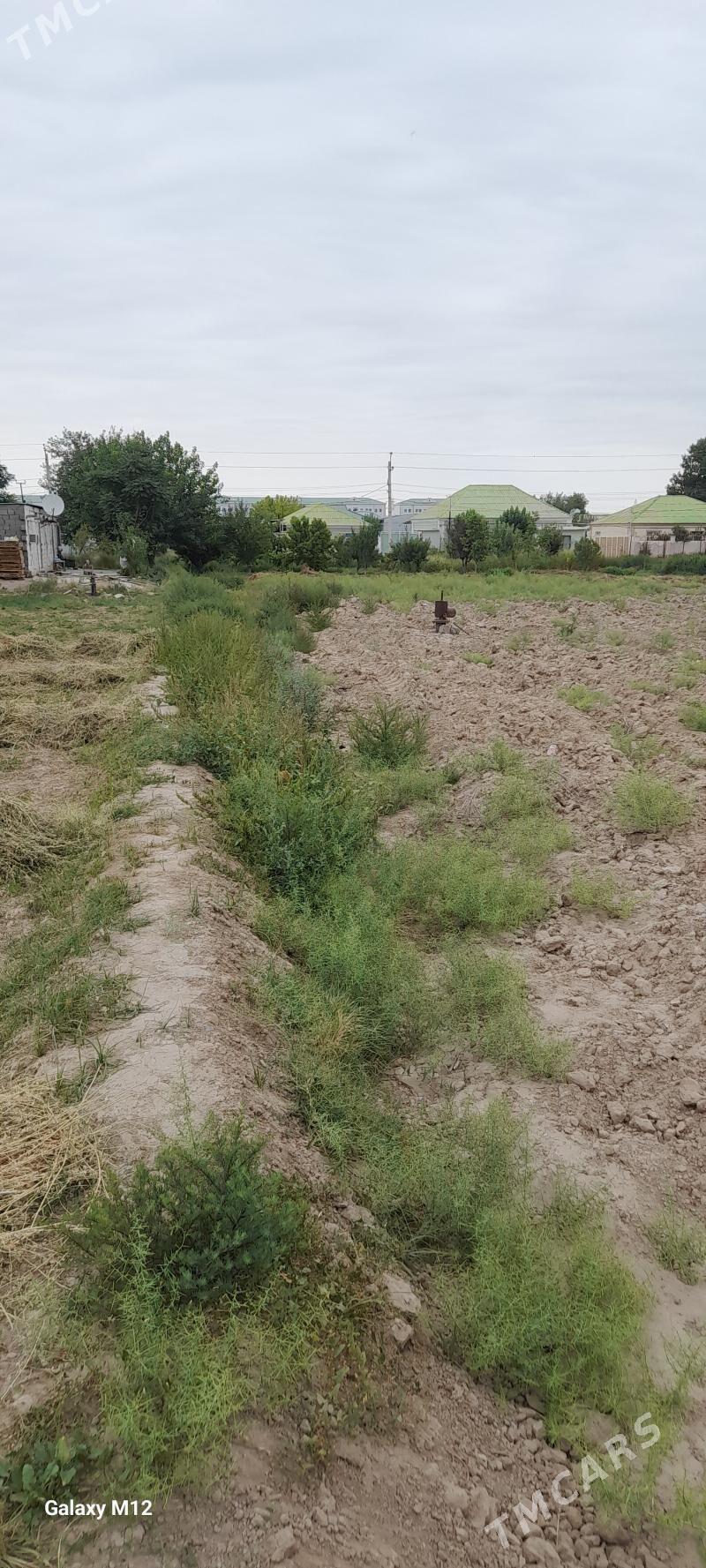 mellek yer 25 sotak 14 500$ - Aşgabat - img 1