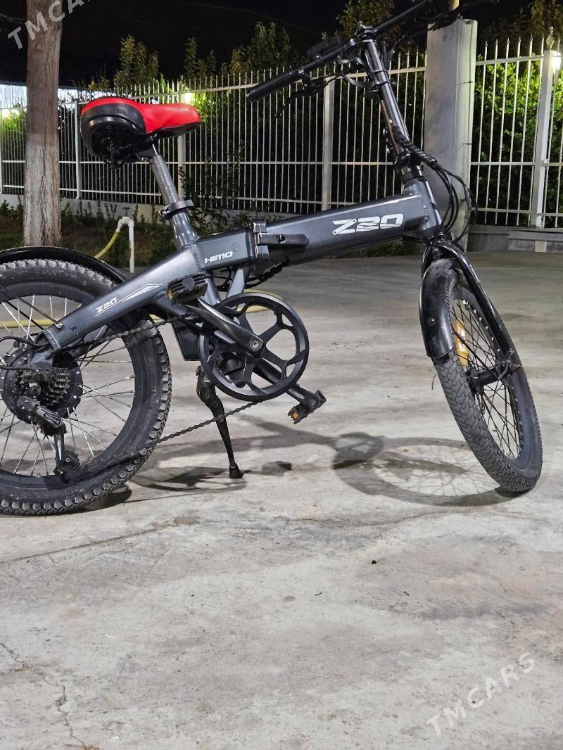 Tokly tigir - Херрикгала - img 1