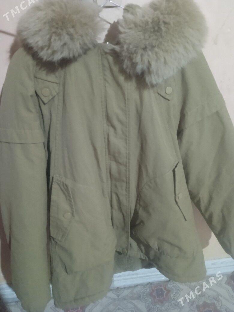 kurtka - Türkmenabat - img 1