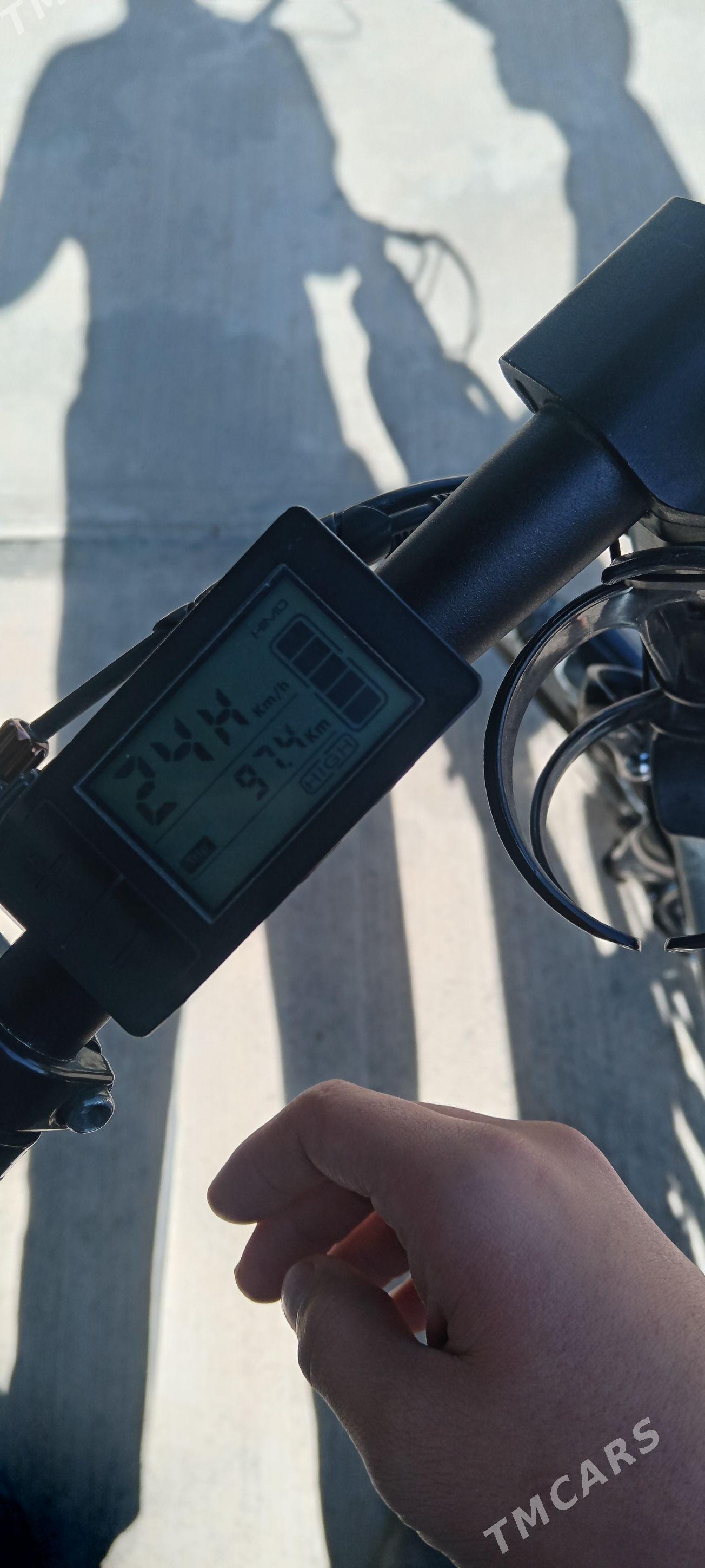 Tokly tigir - Херрикгала - img 2