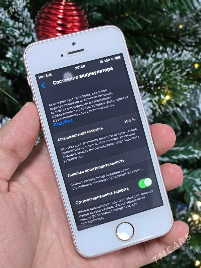 iPhone SE - Türkmenabat - img 5