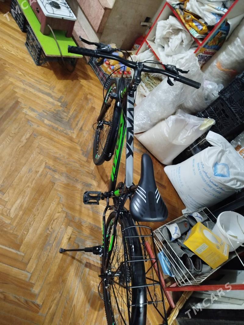 Tigir - Чоганлы - img 2