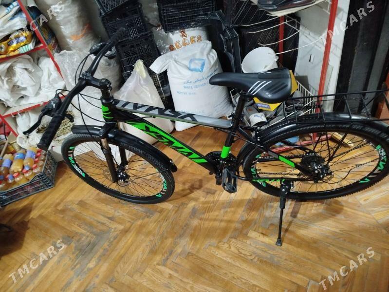 Tigir - Чоганлы - img 1