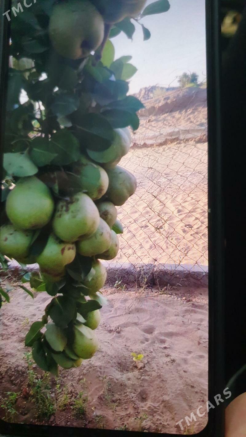 anew plan mellek - Анев - img 3