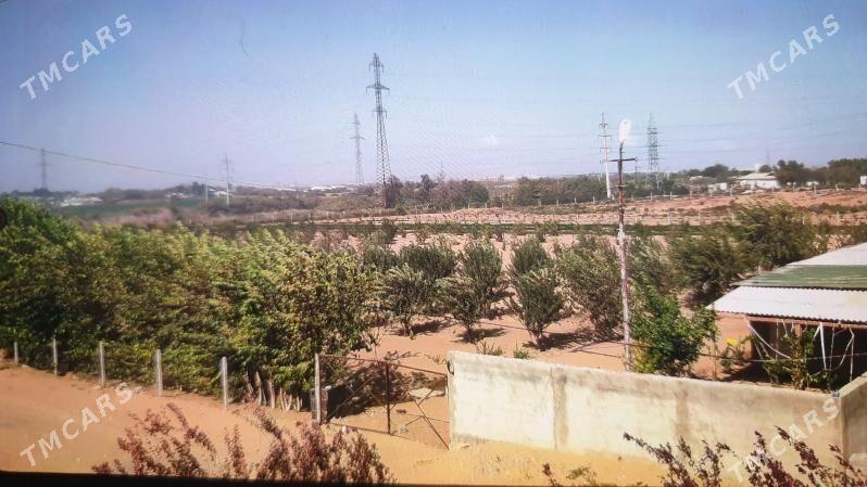 anew plan mellek - Анев - img 1