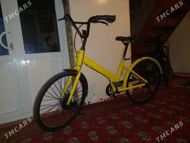 Tigir 24lik - Mary - img 1