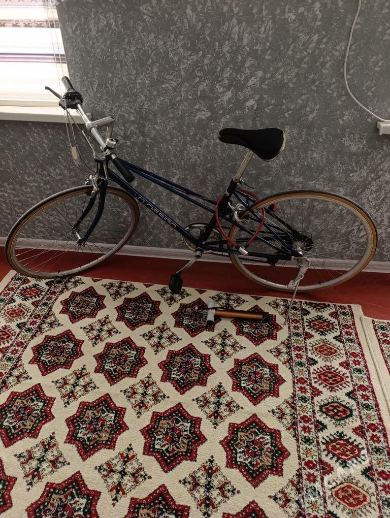 tigir spartiwni - Кипджак - img 1