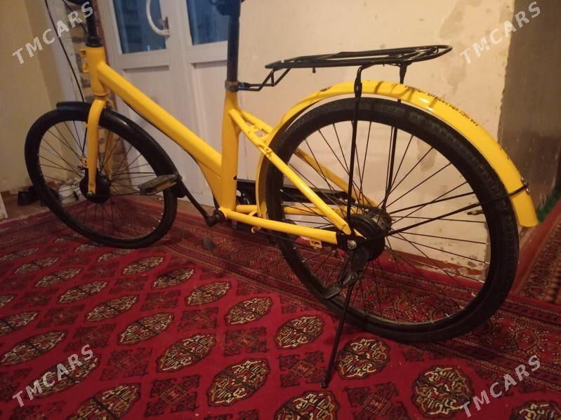 Tigir 24lik - Mary - img 2