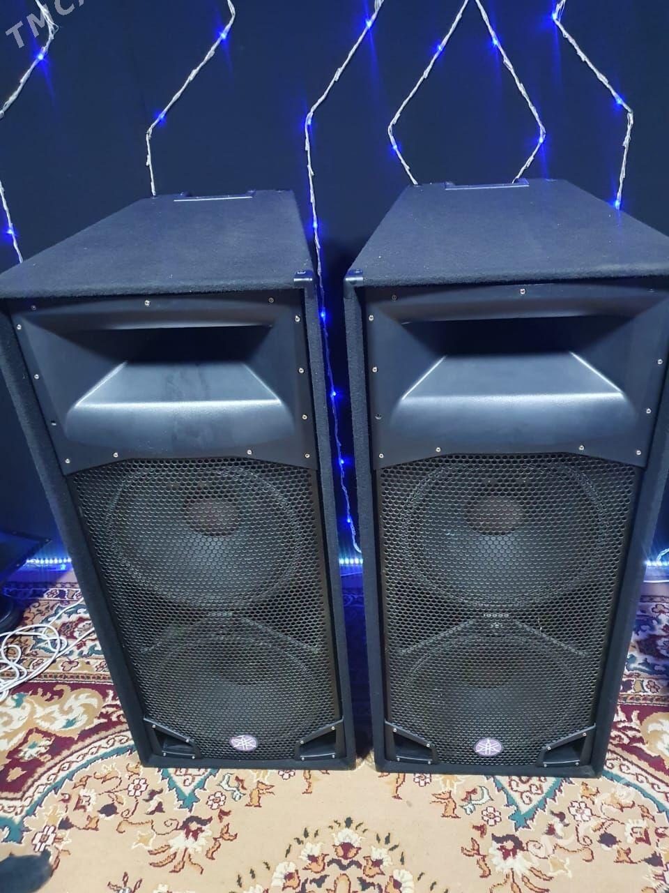 PEAVEY SP4 - Туркменбаши - img 4