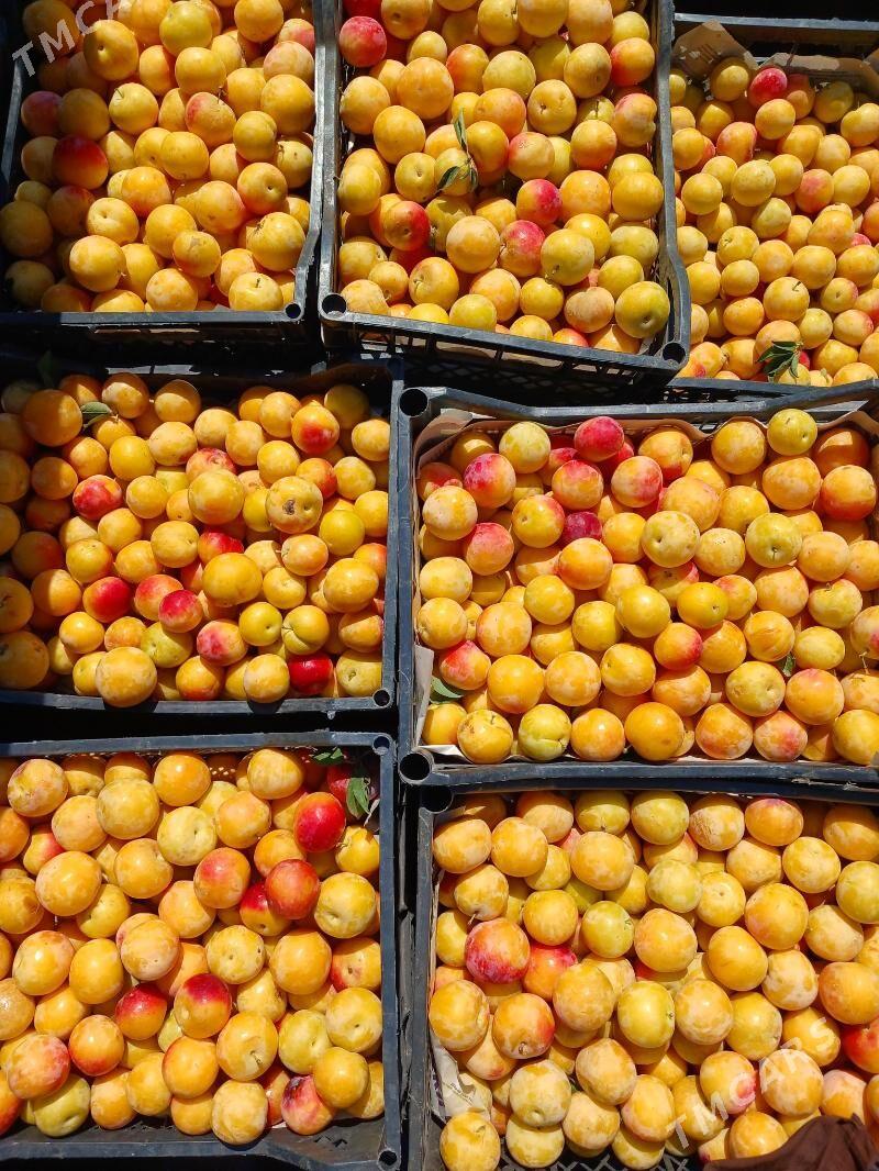 Miweli baglar - Гёкдепе - img 8