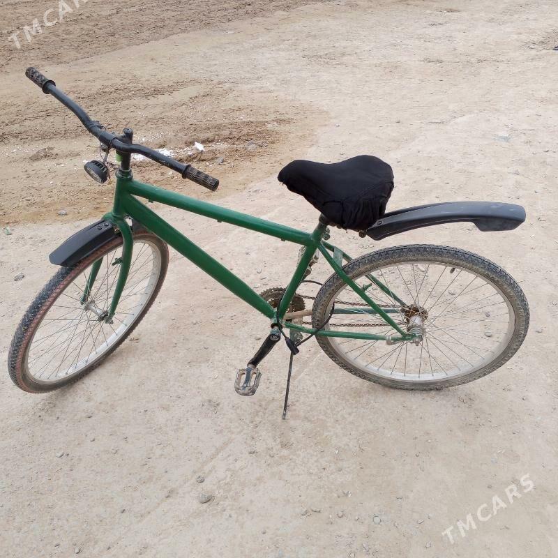 tigir - Кëши - img 2