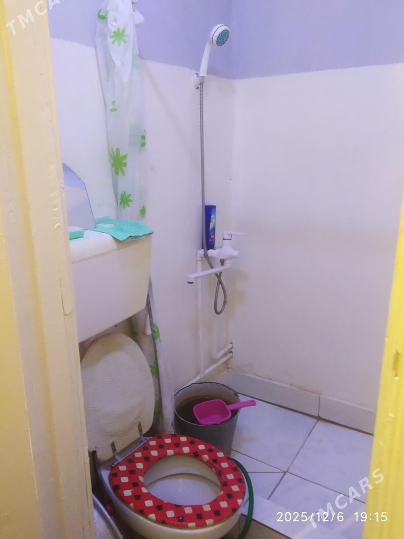 Satlyk jay - Мары - img 1