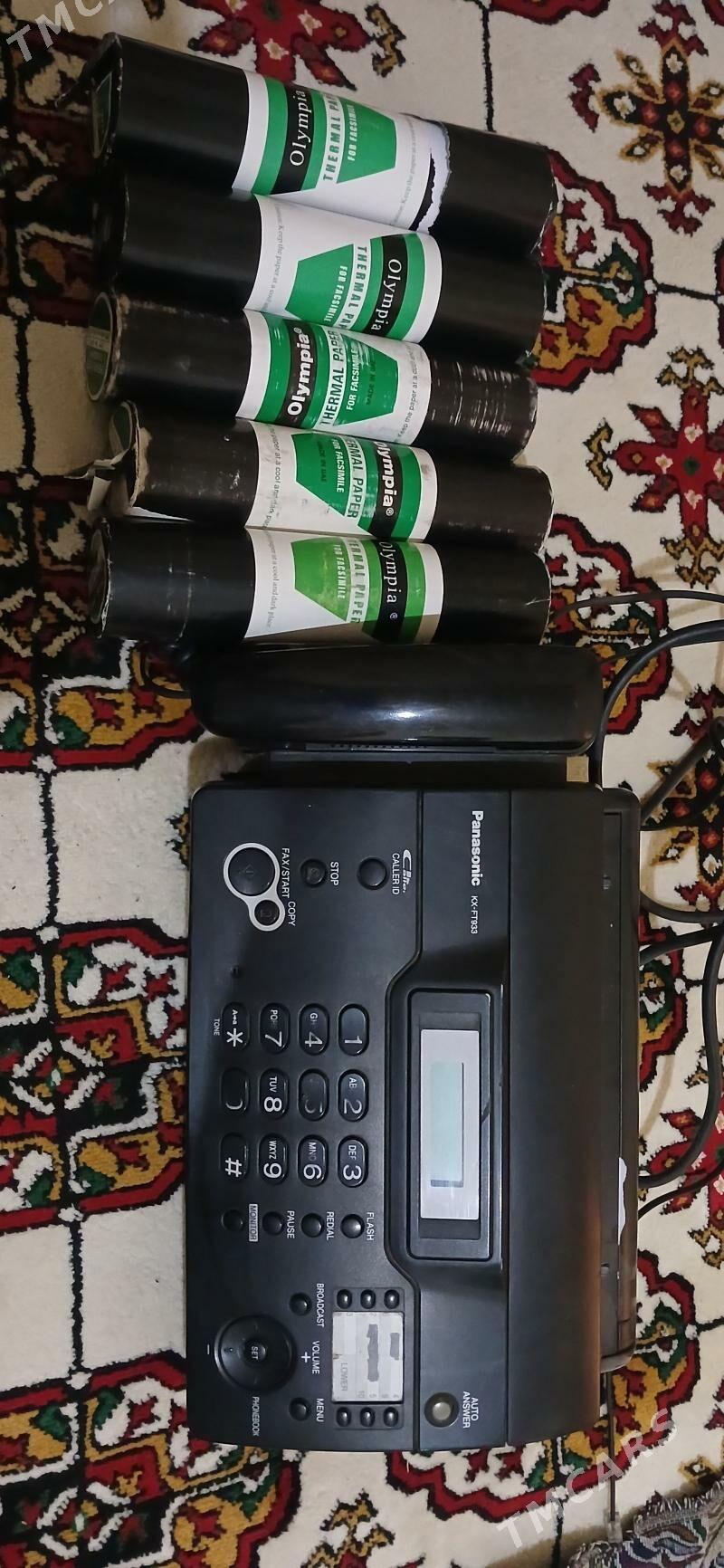 Fakis - Gyzylarbat - img 2