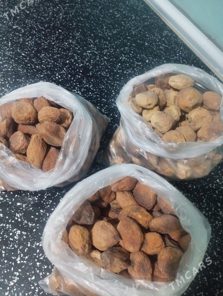 Daşoguz kak erigi 4 görnuş - Туркменбаши - img 1