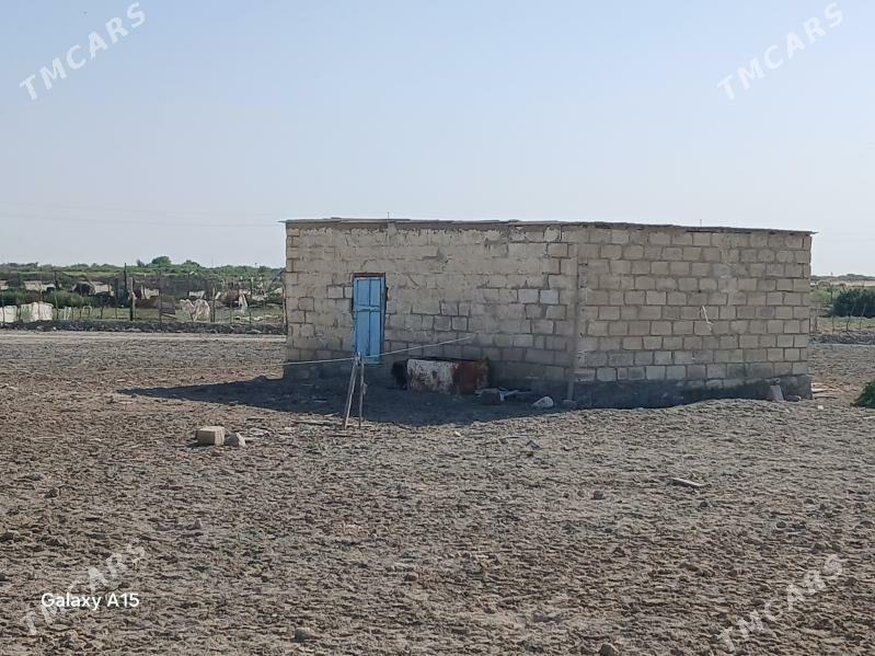 satlik jaÿ - Esenguly - img 4