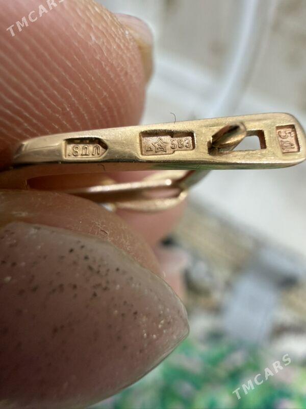 Gyzyl gulakhalka - Ашхабад - img 5