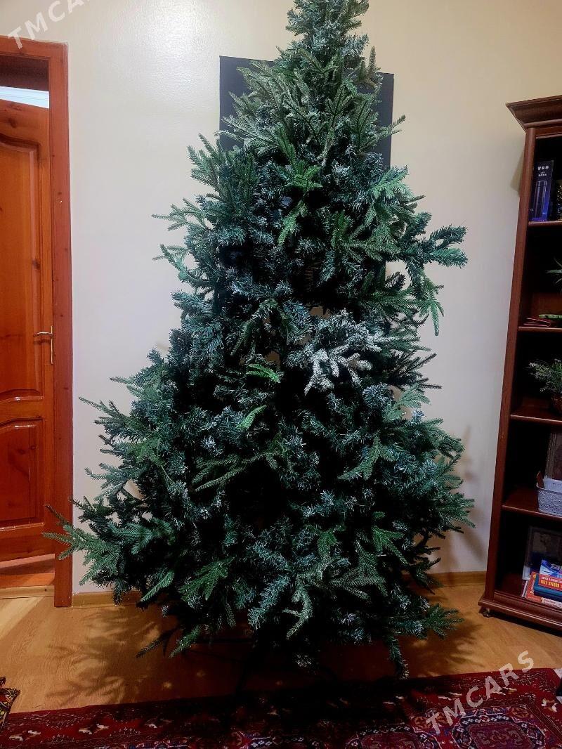 yolka - Ашхабад - img 2