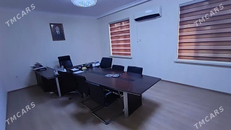 satlyk firma - Änew - img 3