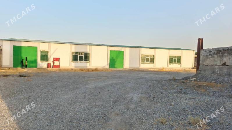 satlyk firma - Änew - img 4