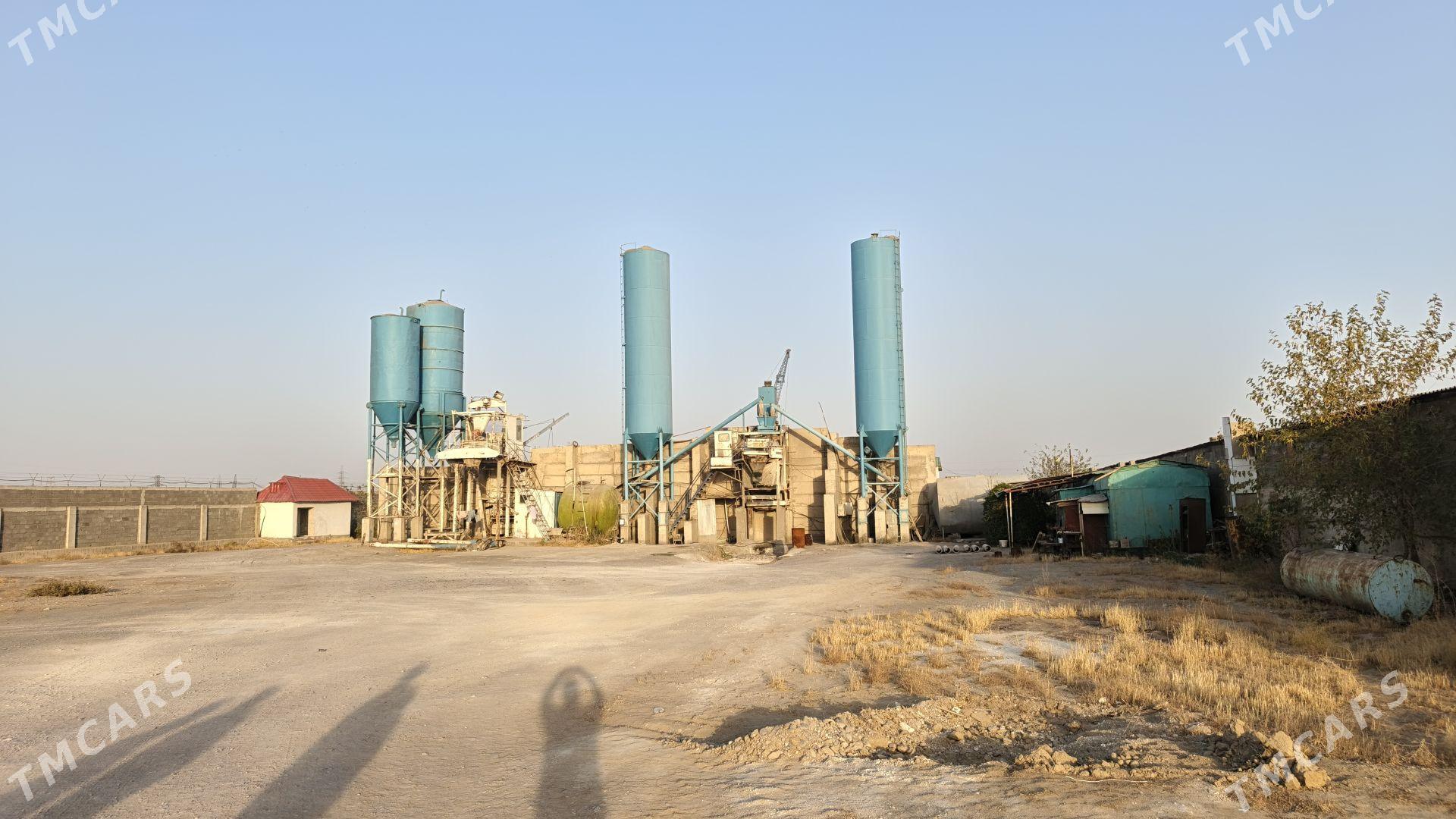 satlyk firma - Änew - img 6