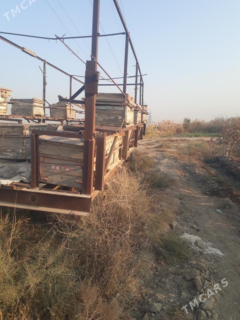 ary saklanyan pirsep - Гёкдепе - img 4