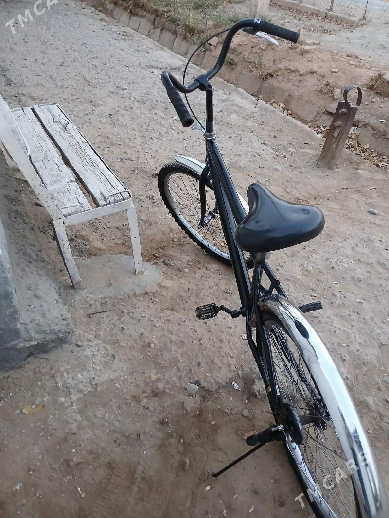 tigir - Теджен - img 2