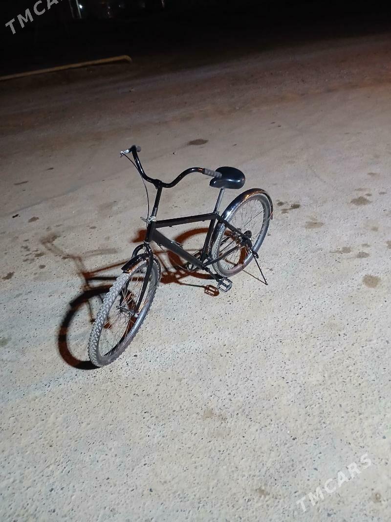 tigir - Теджен - img 6