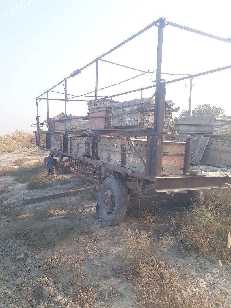 ary saklanyan pirsep - Гёкдепе - img 2