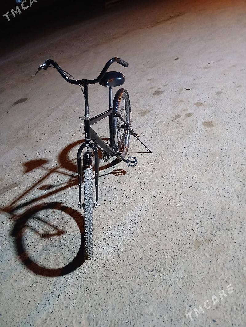 tigir - Теджен - img 5