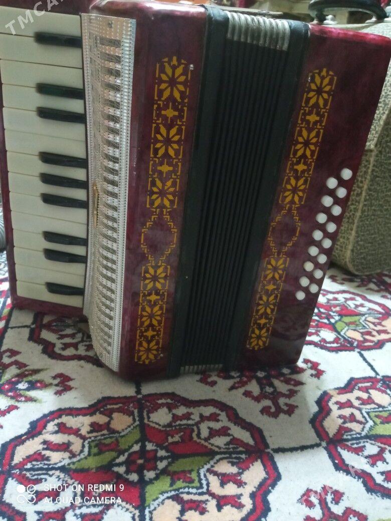 Гармошка "Малыш" - Ким район - img 2