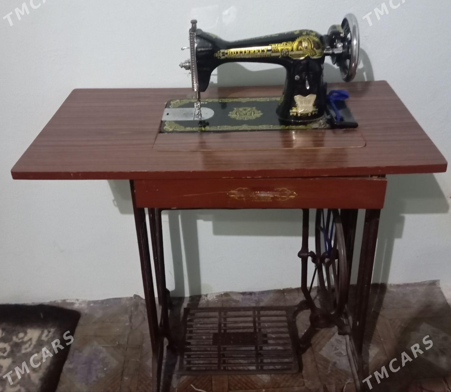 Dikin masyn - Гызыларбат - img 2