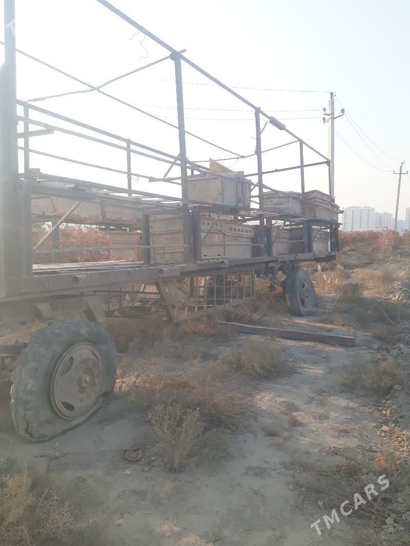 ary saklanyan pirsep - Гёкдепе - img 1