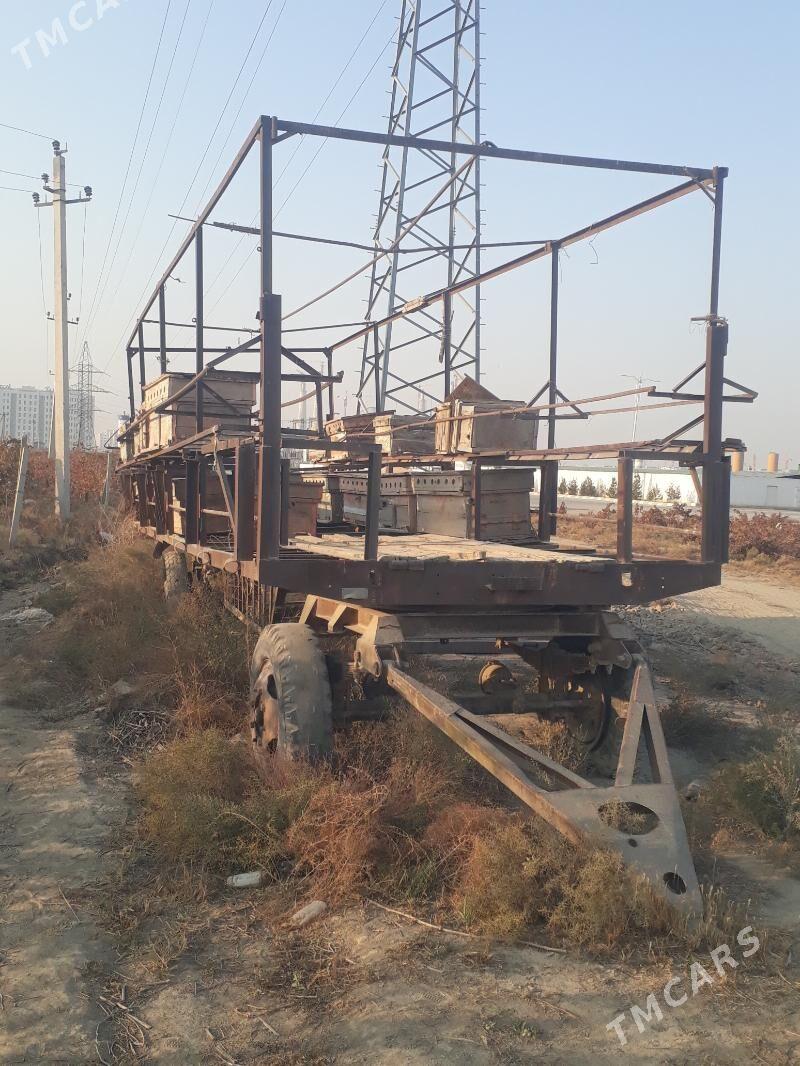 ary saklanyan pirsep - Гёкдепе - img 6