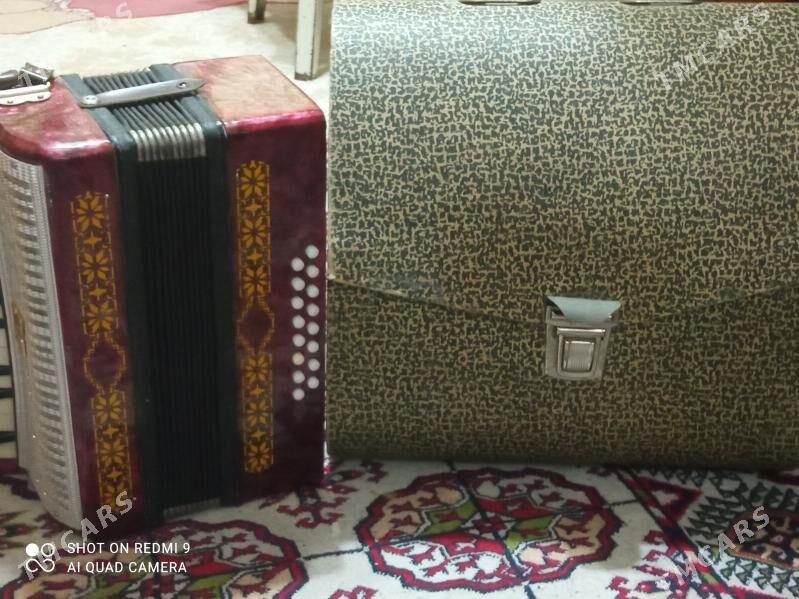 Гармошка "Малыш" - Ким район - img 3