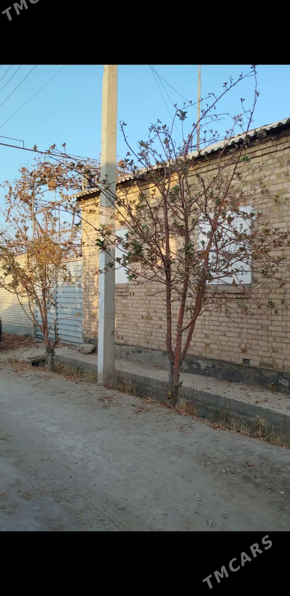 Дача - Туркменабат - img 3