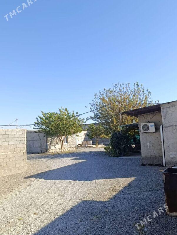 Sklad Seh 20-sotak - Ak bugdaý etraby - img 1