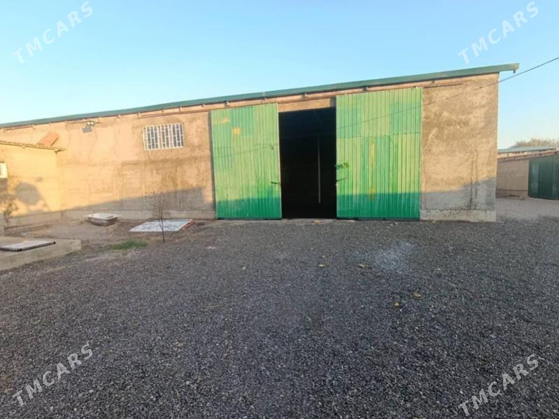 Sklad Seh 20-sotak - Ak bugdaý etraby - img 5